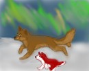 The Father and Son Run