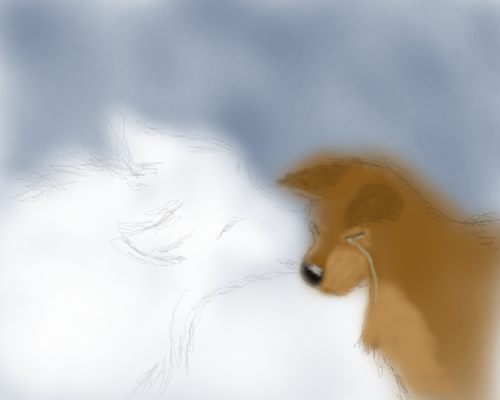 Don't Cry my little Balto