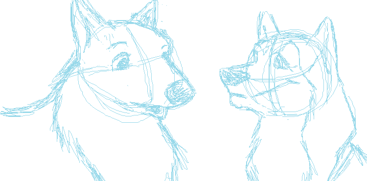 Boomer and Marie Animation for Catwhohas14tails