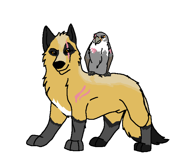 Chayton and Silverclaw