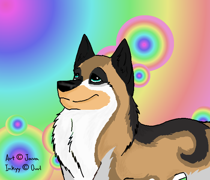 Art Trade with Owl - Inkyy