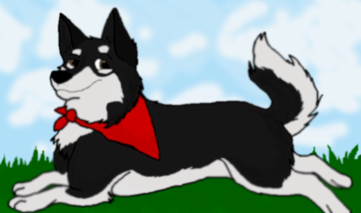 Trying to Adopt Storm! <3