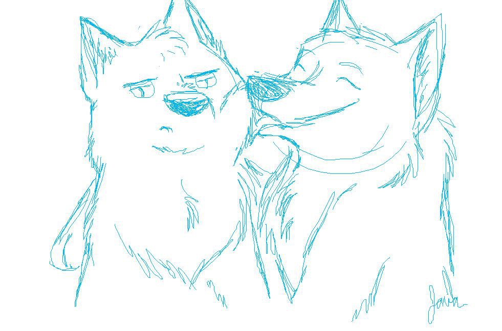 Puma & Mira Doodle