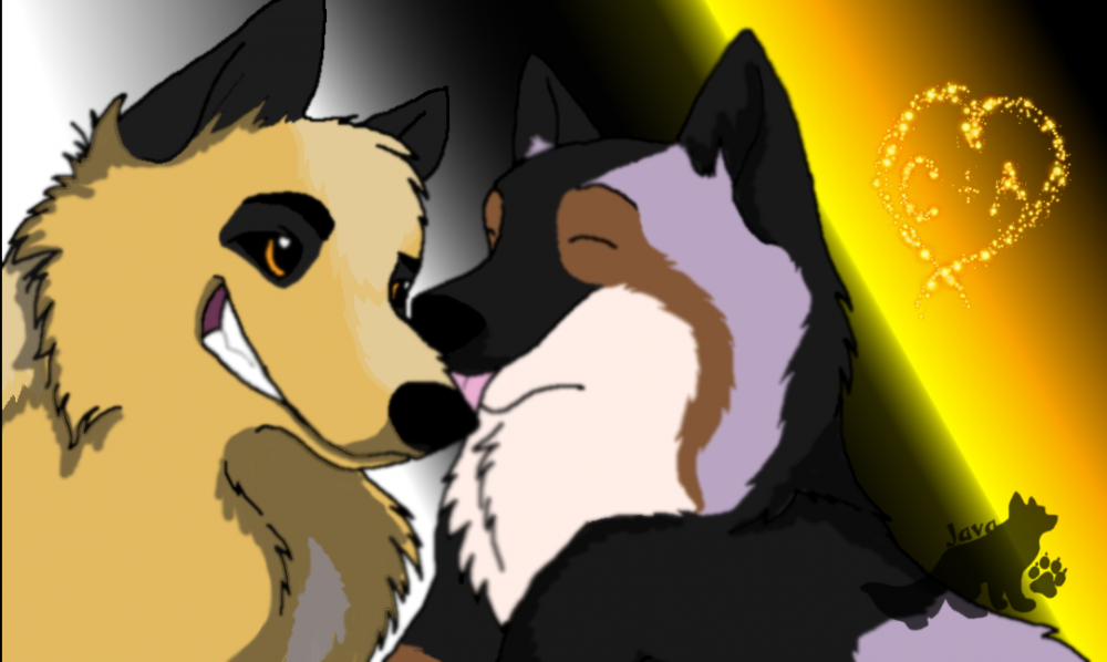 Chayton x Alona - Gifty for Animal Whisperer