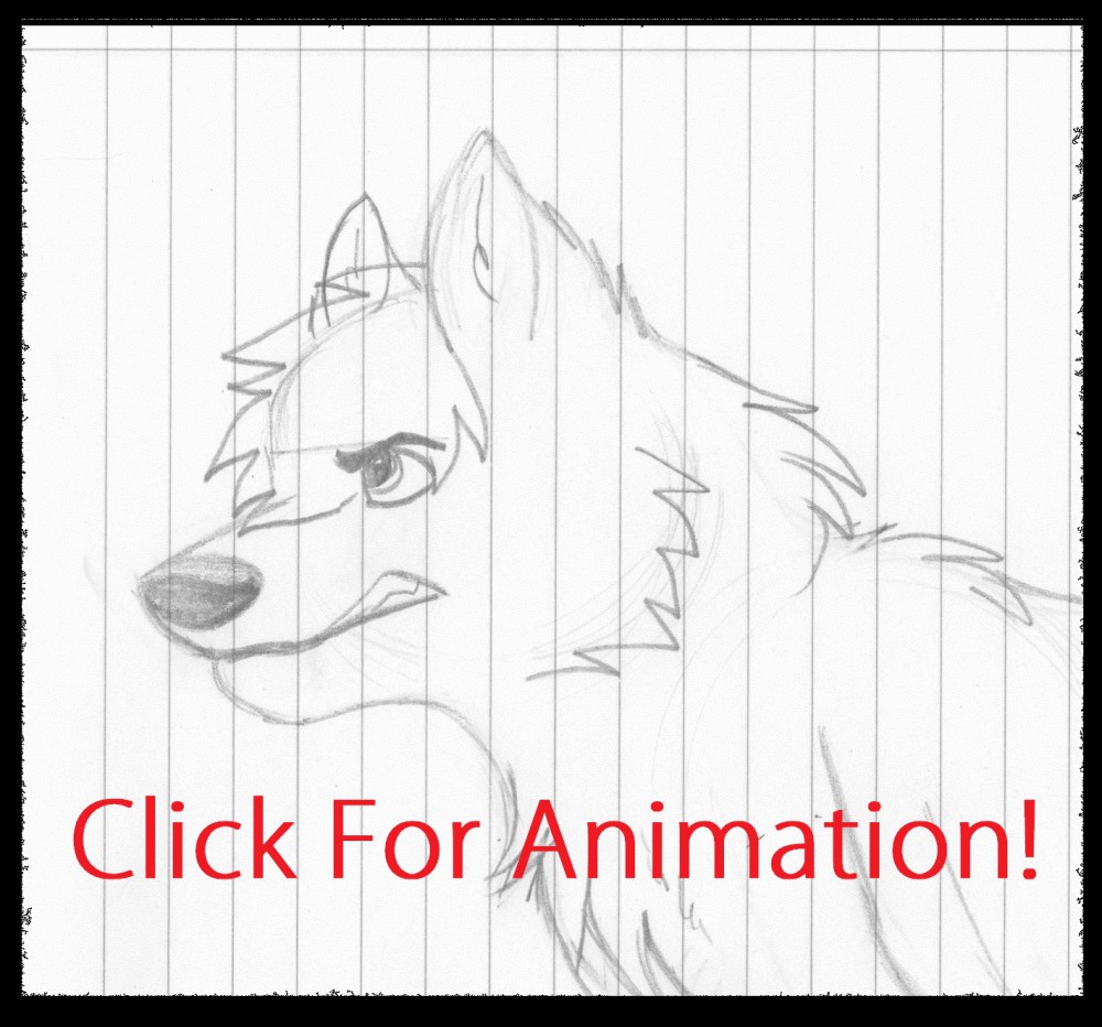 Puma Run Cycle Animation