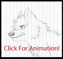 Puma Run Cycle Animation