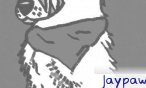 jaypaw