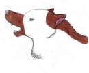 For Lonestar REDONE