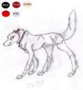 Me as a wolfie