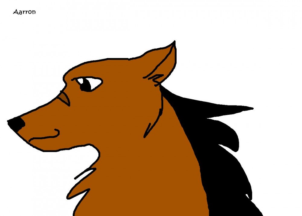 Aarron