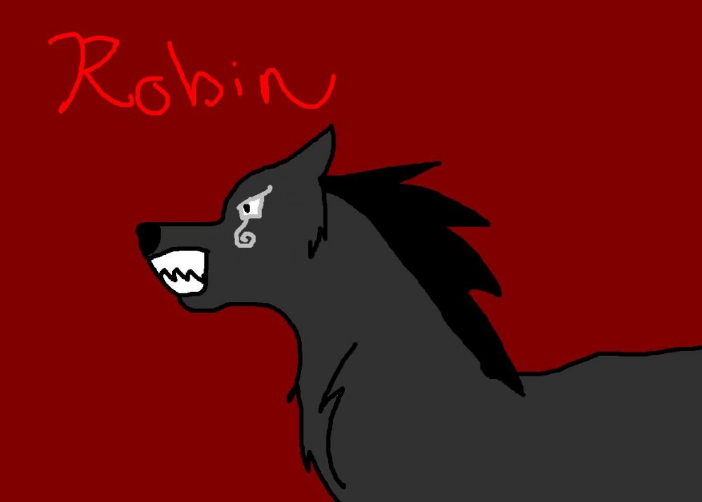 Robin