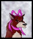 Doggywoggy