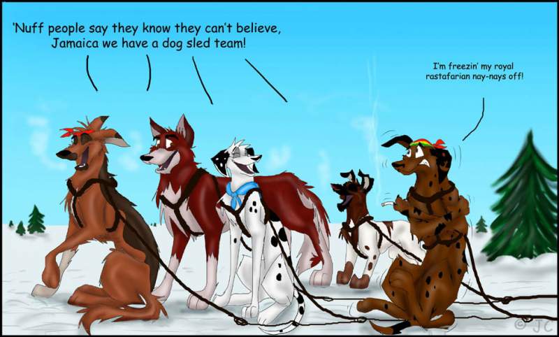 1st Jamaican Dog Sled Team