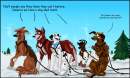 1st Jamaican Dog Sled Team