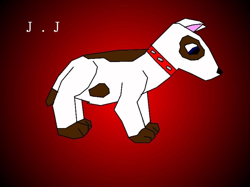 J.J. *The Borderline*