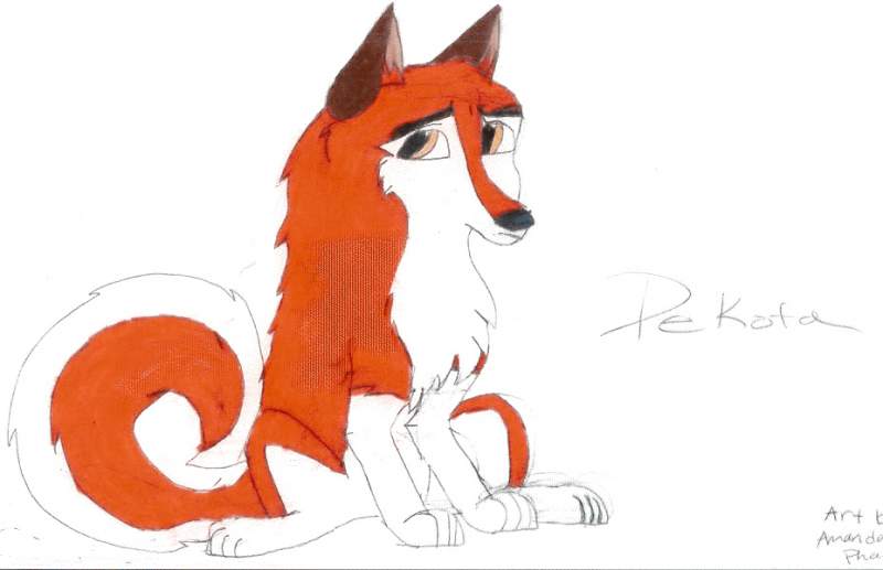 Dekota