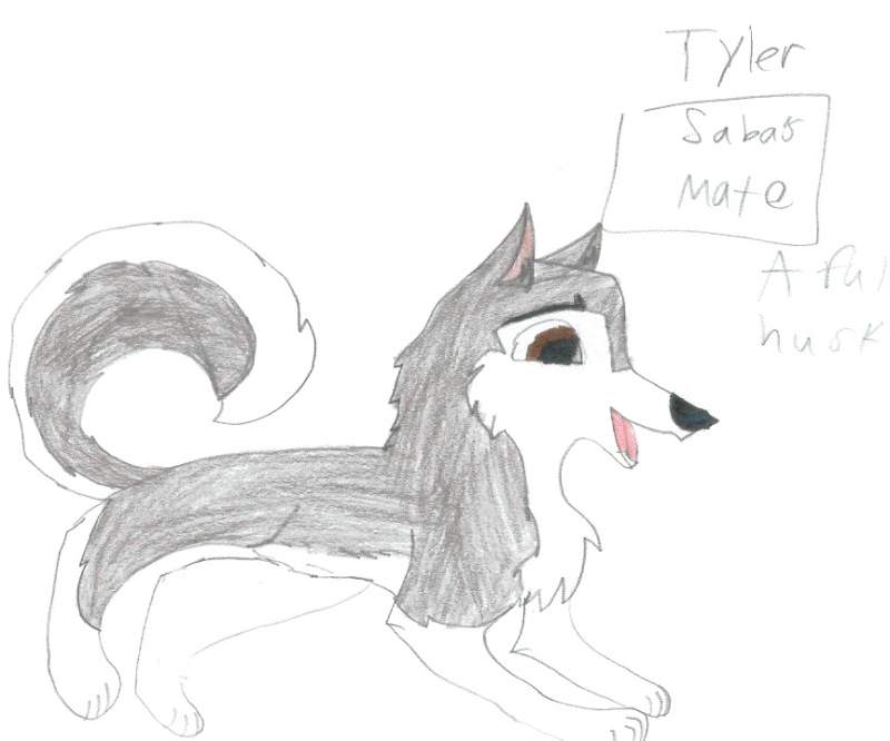 Tyler
