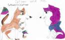 Me and Cat lover