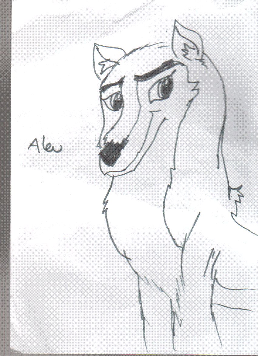 Aleu