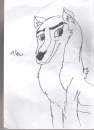 Aleu