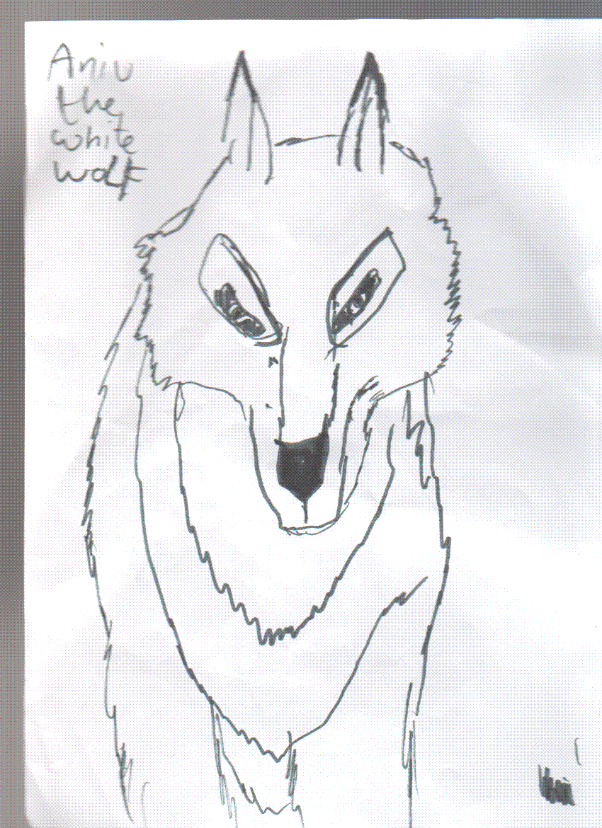 aniu the white wolf