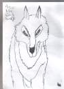 aniu the white wolf