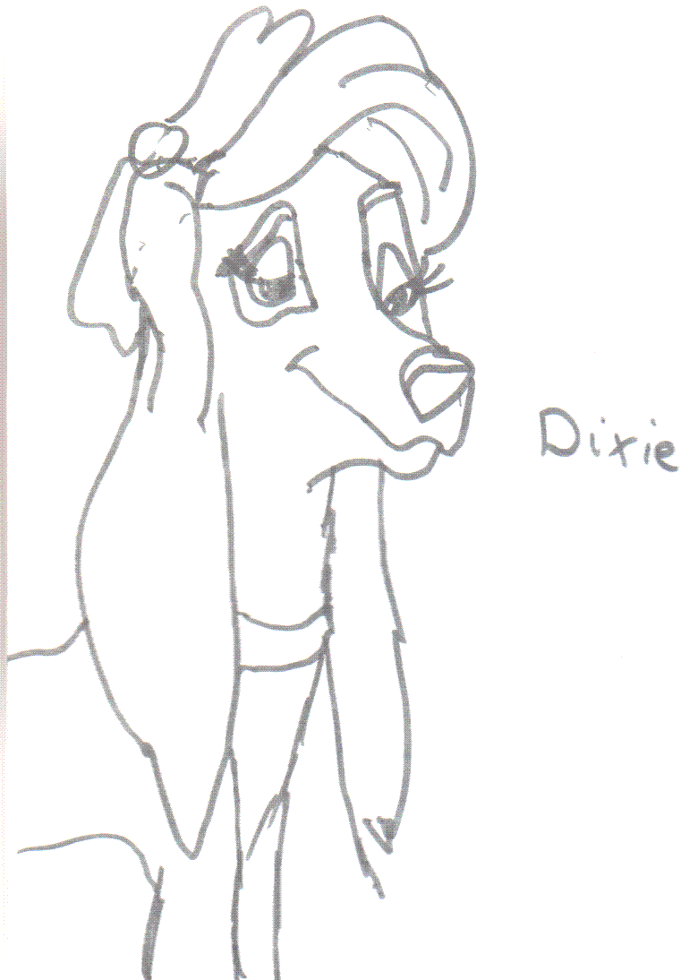 Dixie