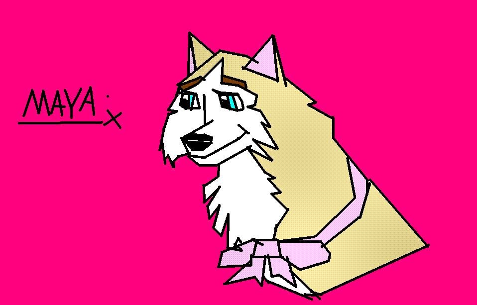 New character Maya