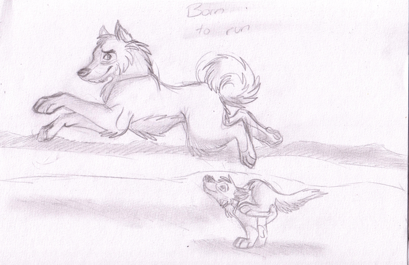 Born to Run