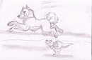 Born to Run