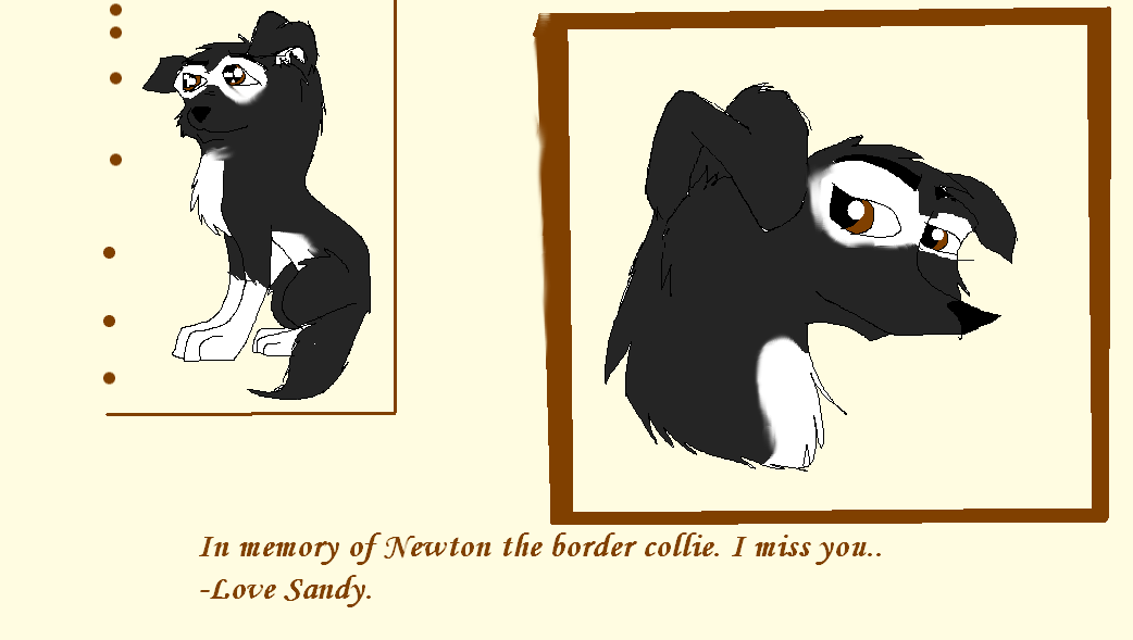 Love Sandy