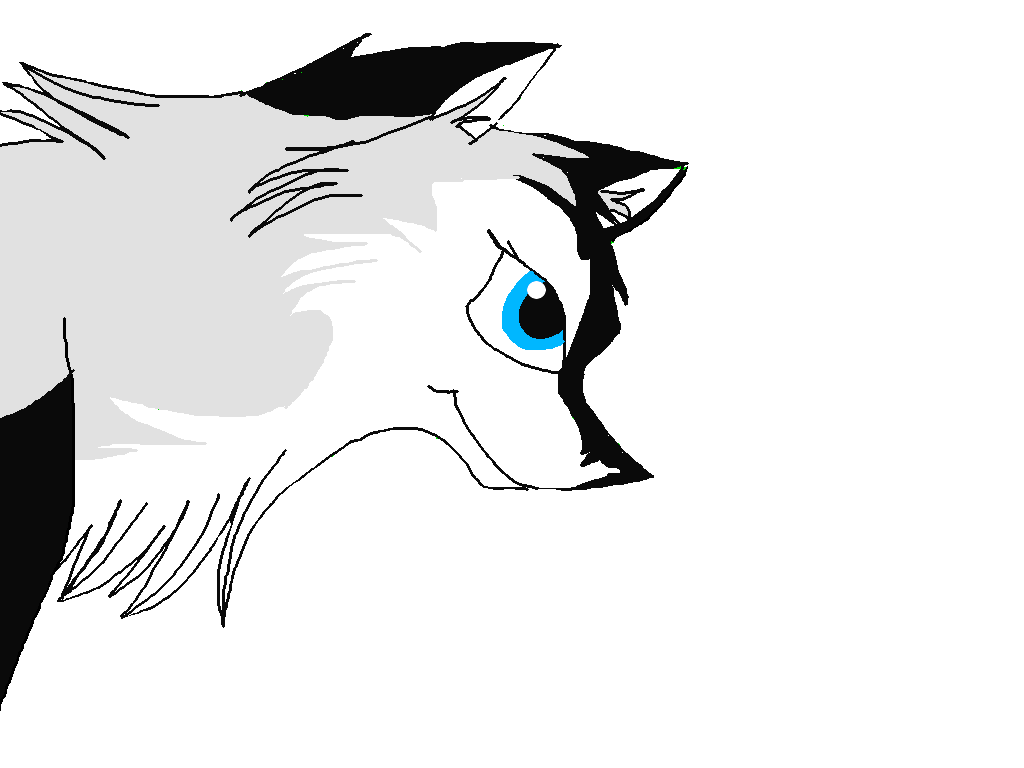 Another Animation