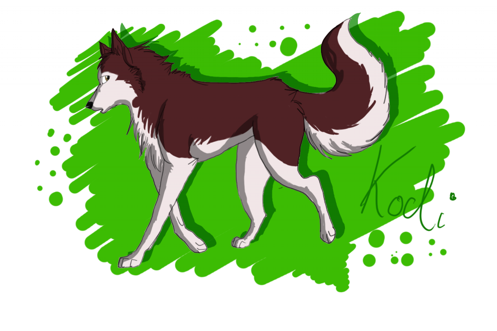 Kodi