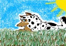Lizzie in the grass