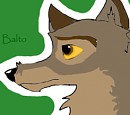 Quick Balto avvie