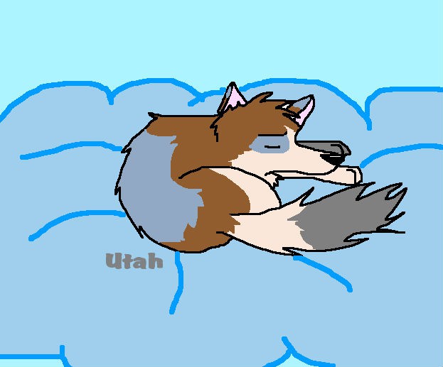 utah pup
