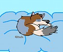 utah pup