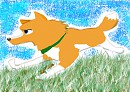 Mandy running through the fields