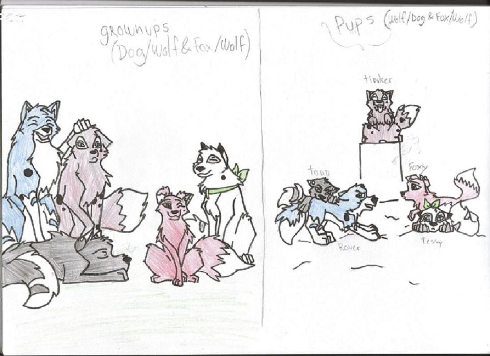 my Characters,Rover, Tinker, Todd, Tessy & Moxy.