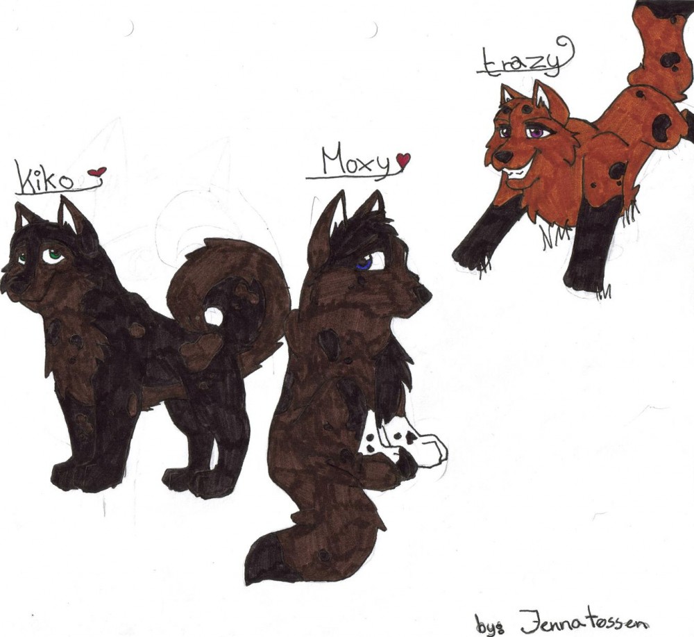 Some pups i made for a contest