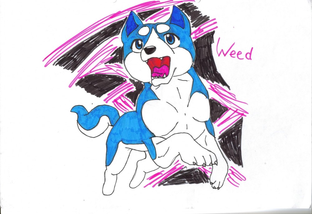 Weed son of Gin/Silver.