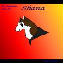 Shana