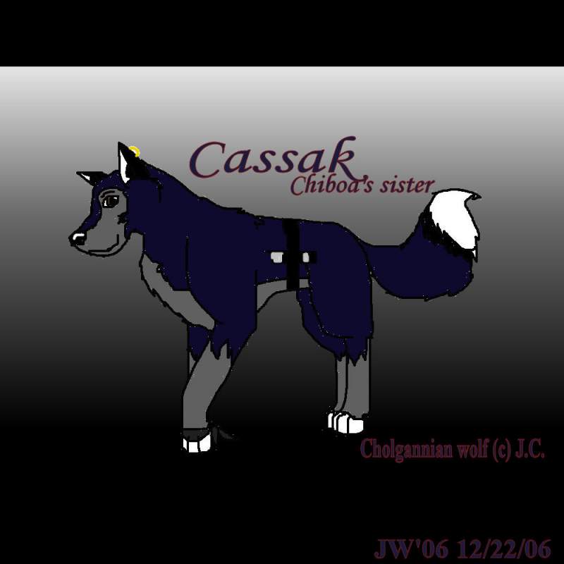 Cassak