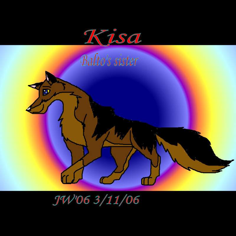 Kisa - son of Kodi and Dusty