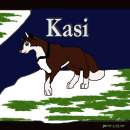 Sorry for the other one, this is Kisa
