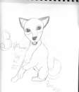 Balto puppy sketch