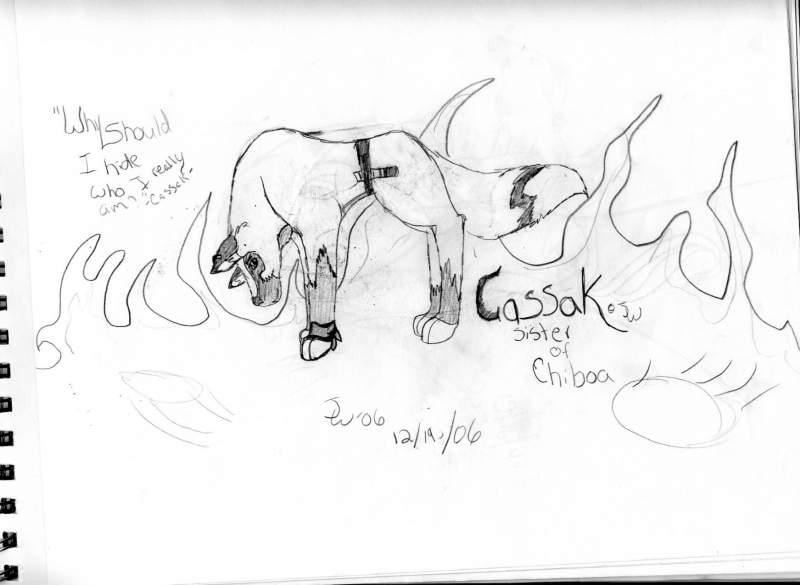 Cassak sketch