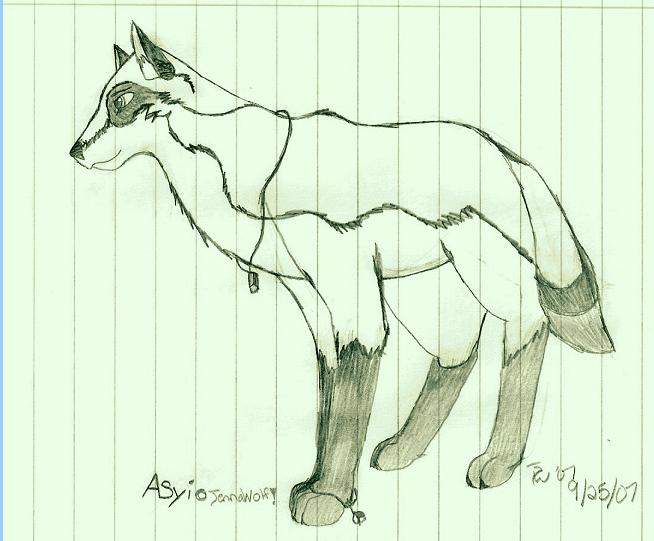 Asyi