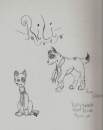 Rili