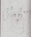 Hiden Wolves